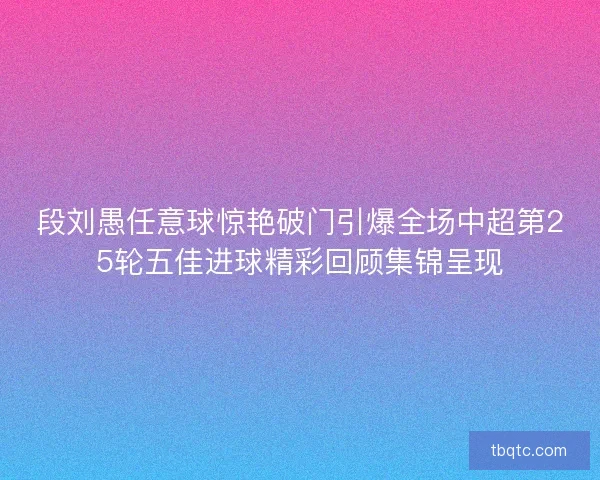 段刘愚任意球惊艳破门引爆全场中超第25轮五佳进球精彩回顾集锦呈现